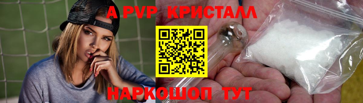 Alfa_PVP СК Сокол