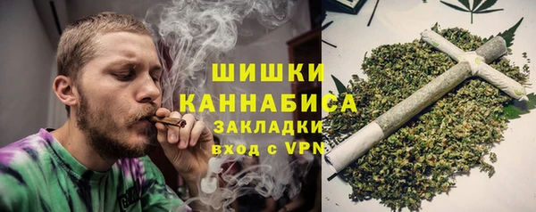 дурь Краснослободск