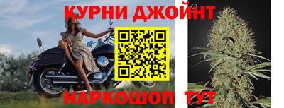 прущие грибы Дубна