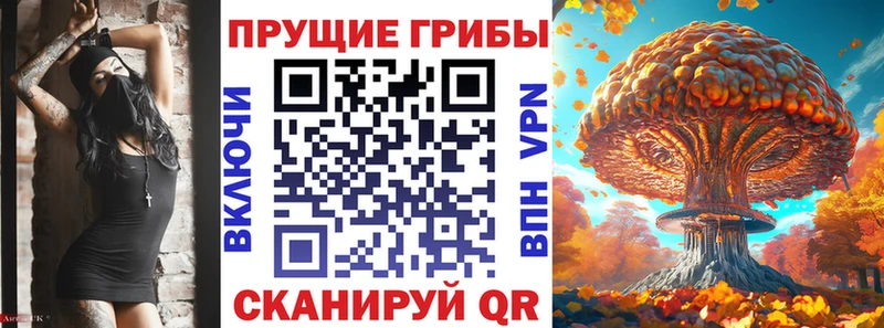 Галлюциногенные грибы Magic Shrooms  Сокол 