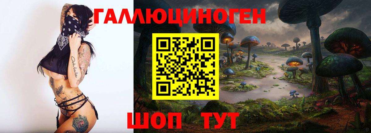 Псилоцибиновые грибы Psilocybine cubensis  Вход с VPN  Сокол 