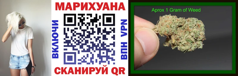 Бошки Шишки гибрид  Сокол 